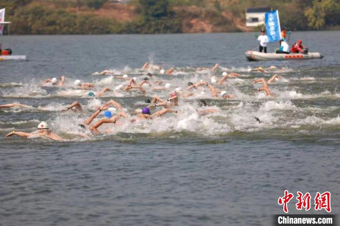 浙江柯城角逐全国马拉松游泳锦标赛,200余名选